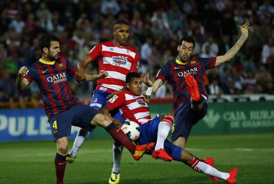 绩提供了可 绩提供了可