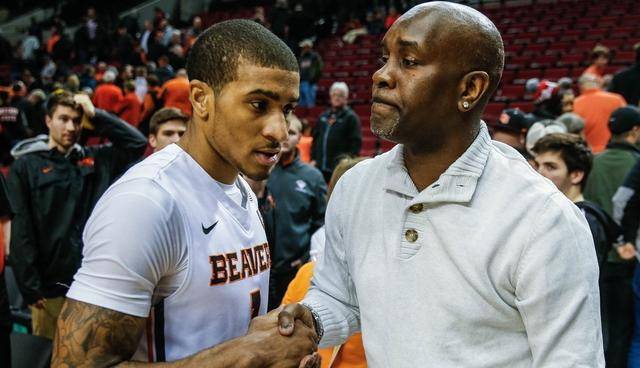 正式加盟布 正式加盟布