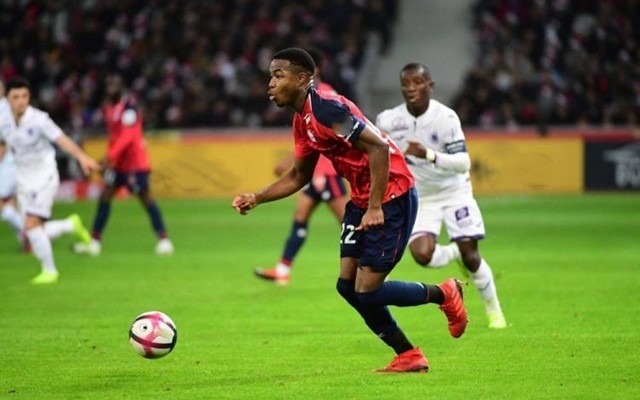 案例分析 案例分析